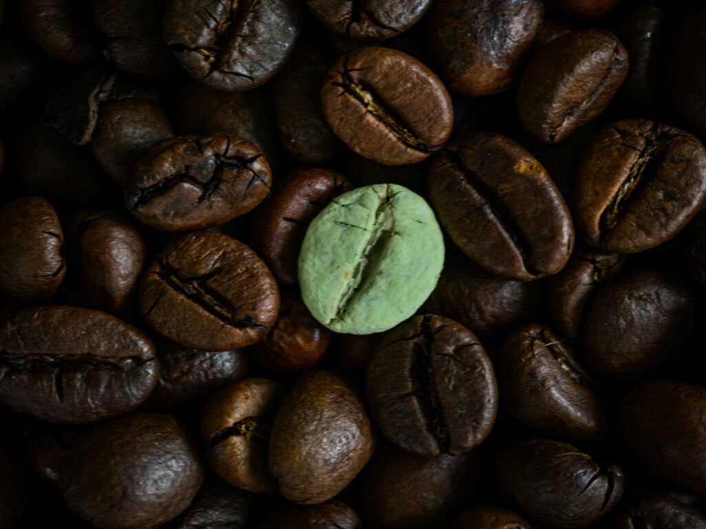 Green coffee bean in a pile of brown coffee beans