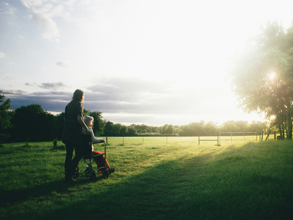 Caregiver pushing wheelchair in sunny field